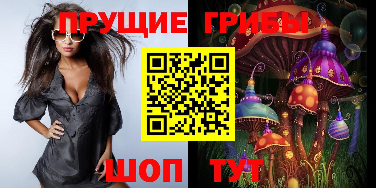 Псилоцибиновые грибы GOLDEN TEACHER Гатчина