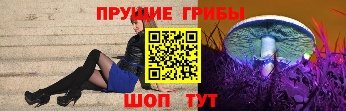 Галлюциногенные грибы мицелий  Вход с VPN  Гатчина  Галлюциногенные грибы MAGIC MUSHROOMS 
